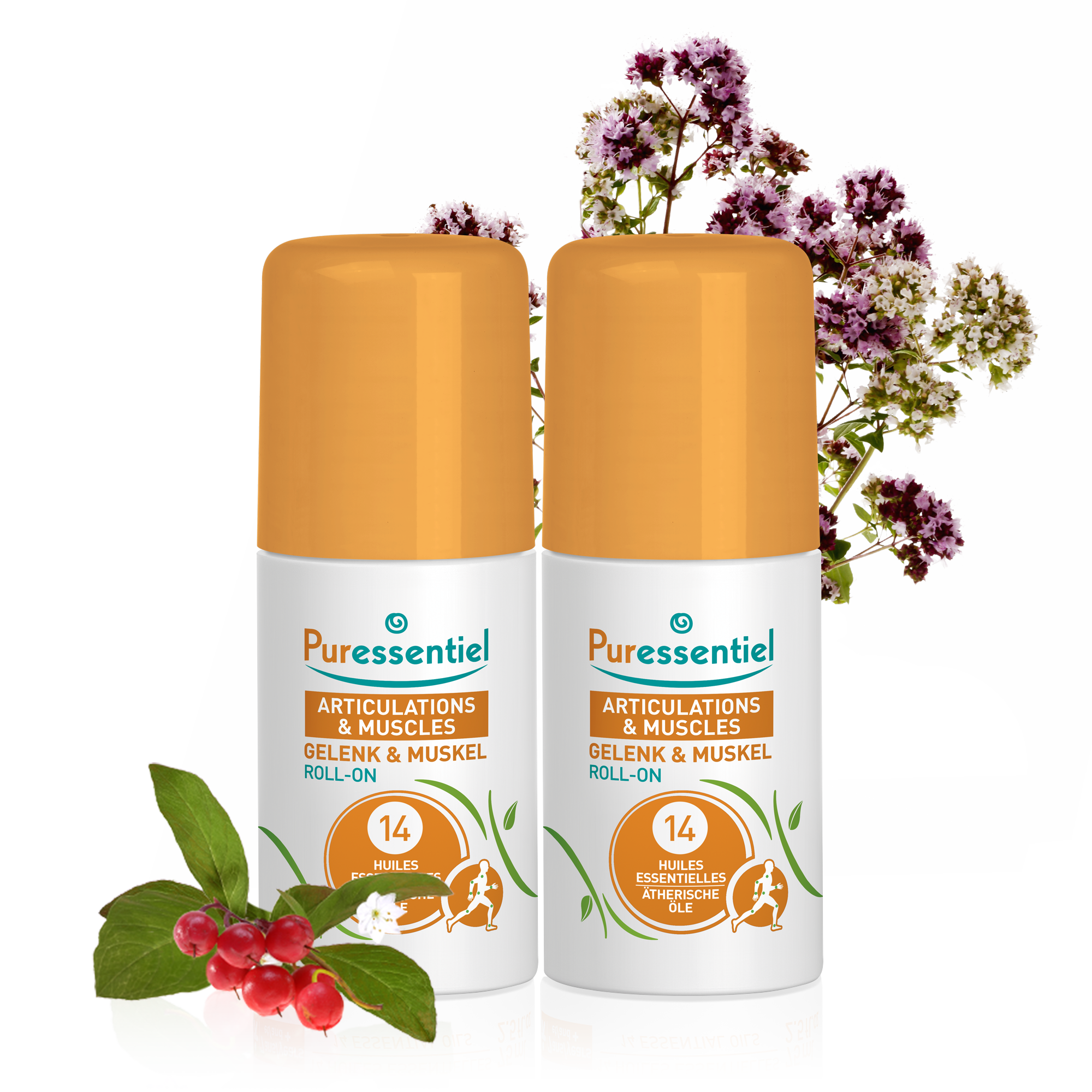 Duo Gelenk & Muskel Roll-on