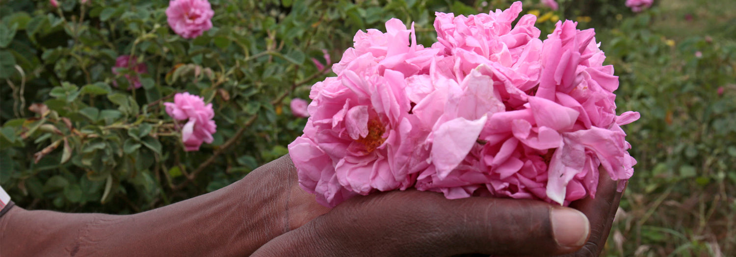 valeurs puressentiel engagement