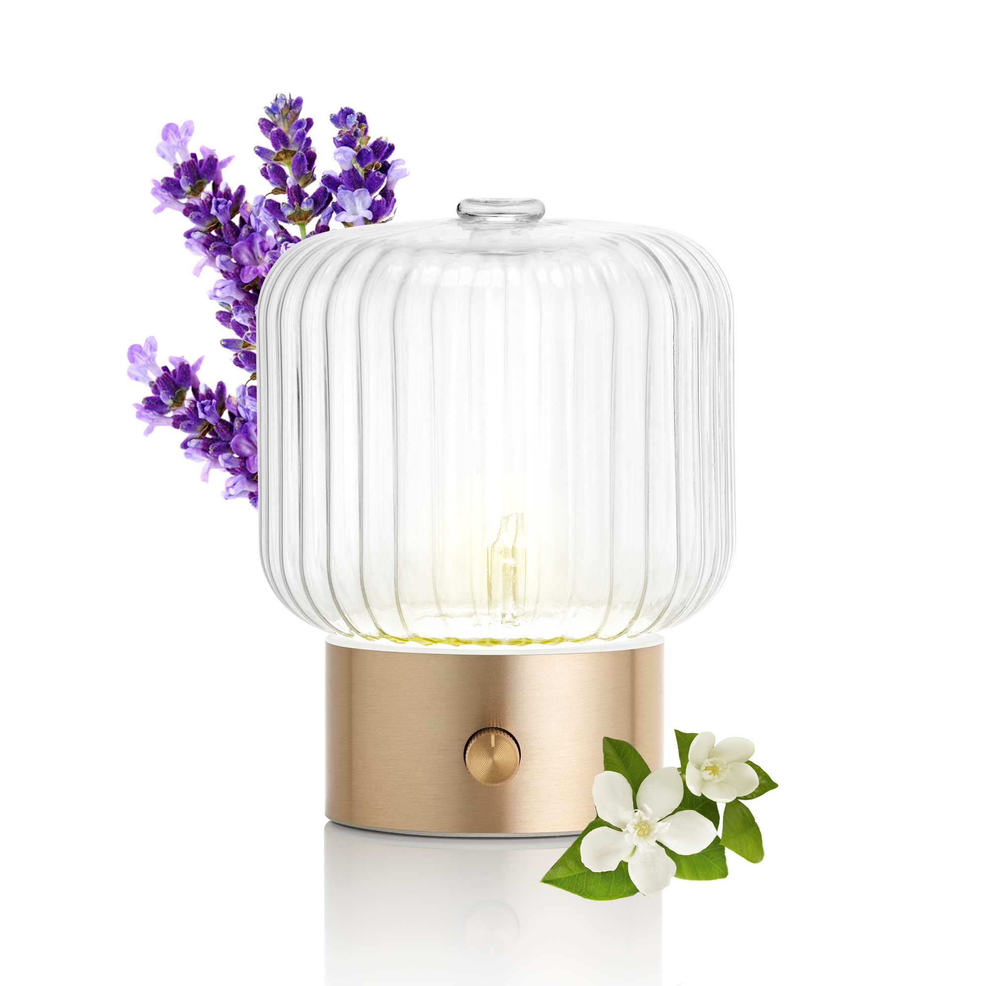 Vernebler Diffusor VERA