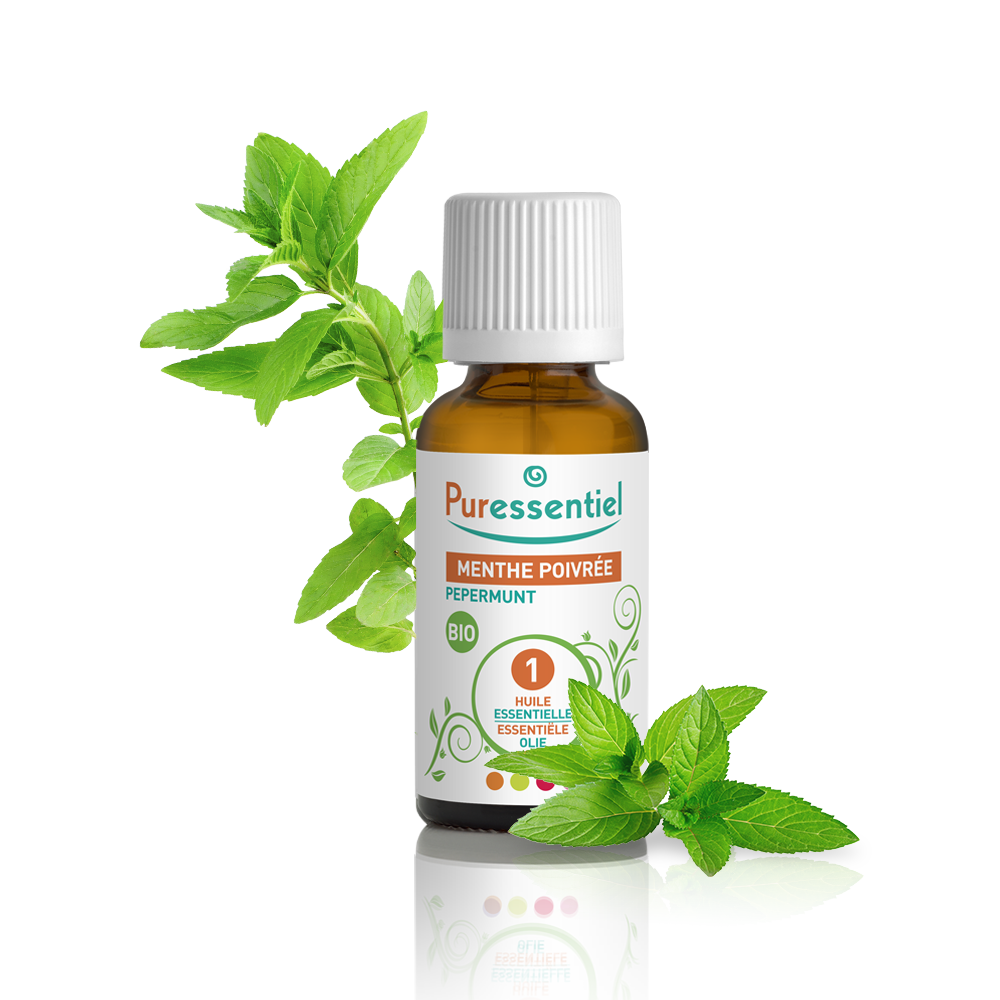 Pfefferminze Bio Ätherisches Öl