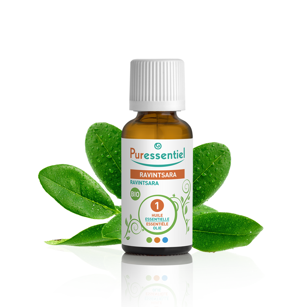 Ravintsara Bio Ätherisches Öl