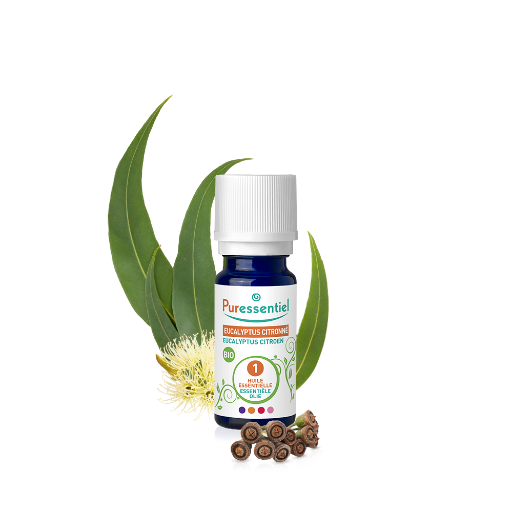 eucalyptus citronné huile essentielle puressentiel