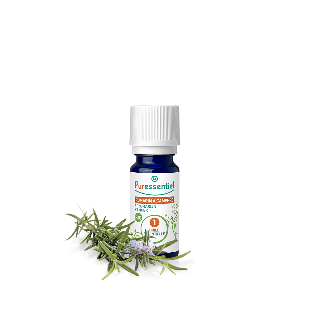 romarin à camphre bio puressentiel