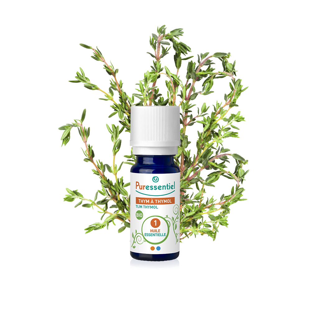 huile essentielle thy à thymol bio