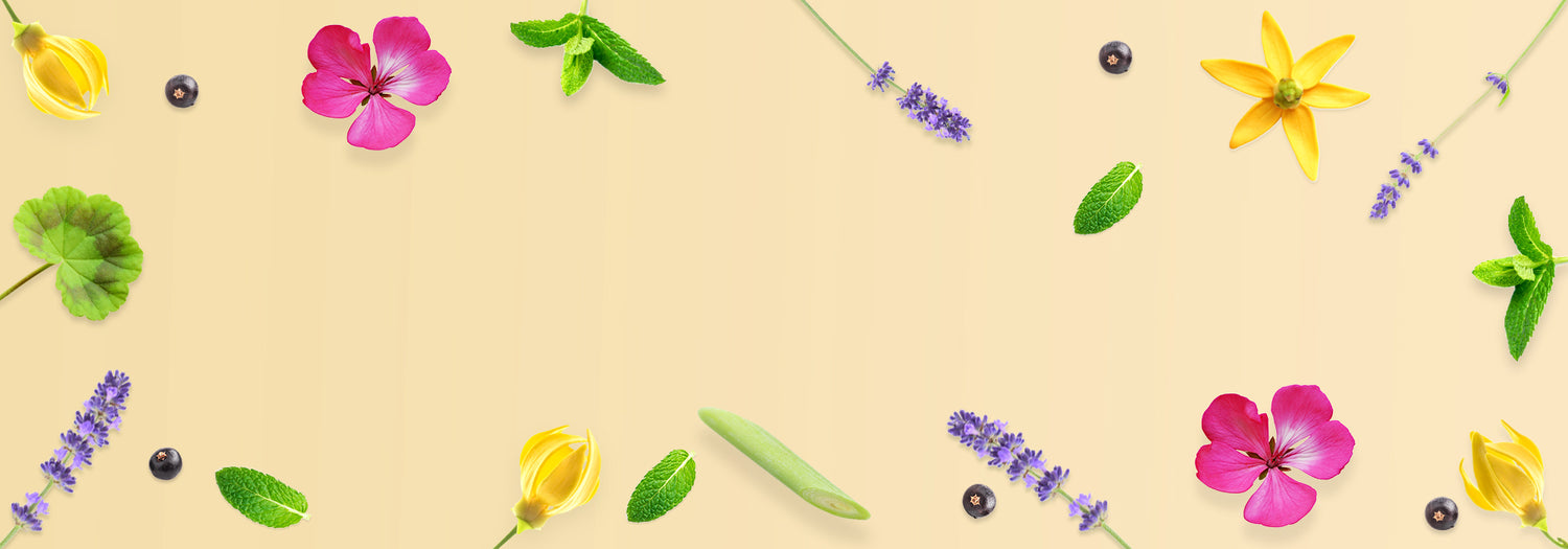 Quelles huiles essentielles sont indispensables en été et pourquoi ?
