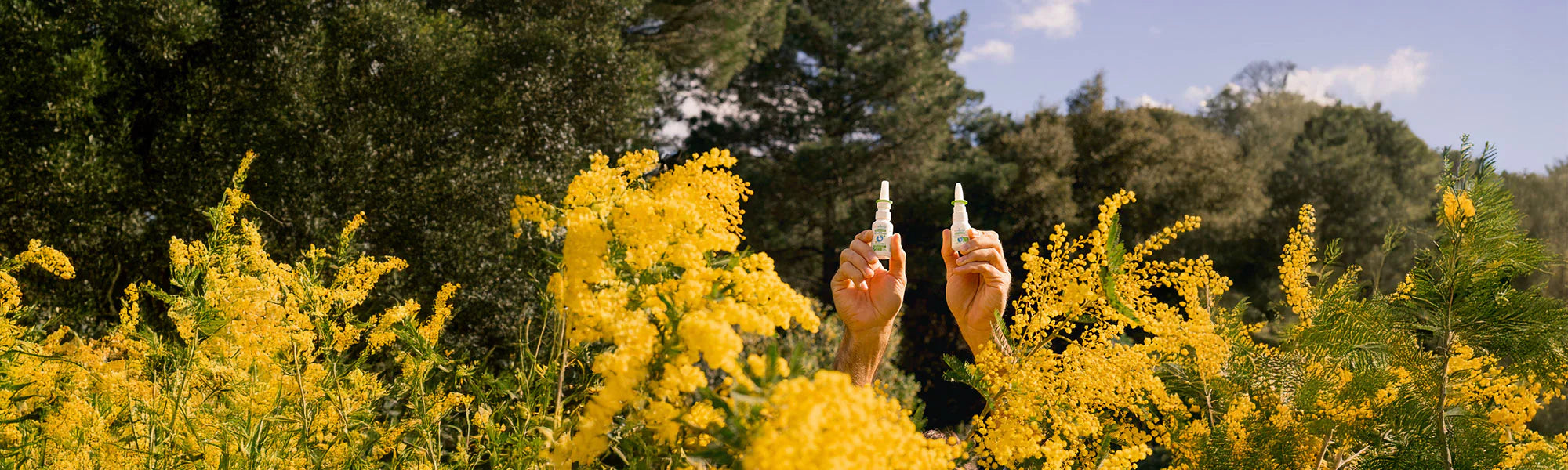 Allergies & Assainissant