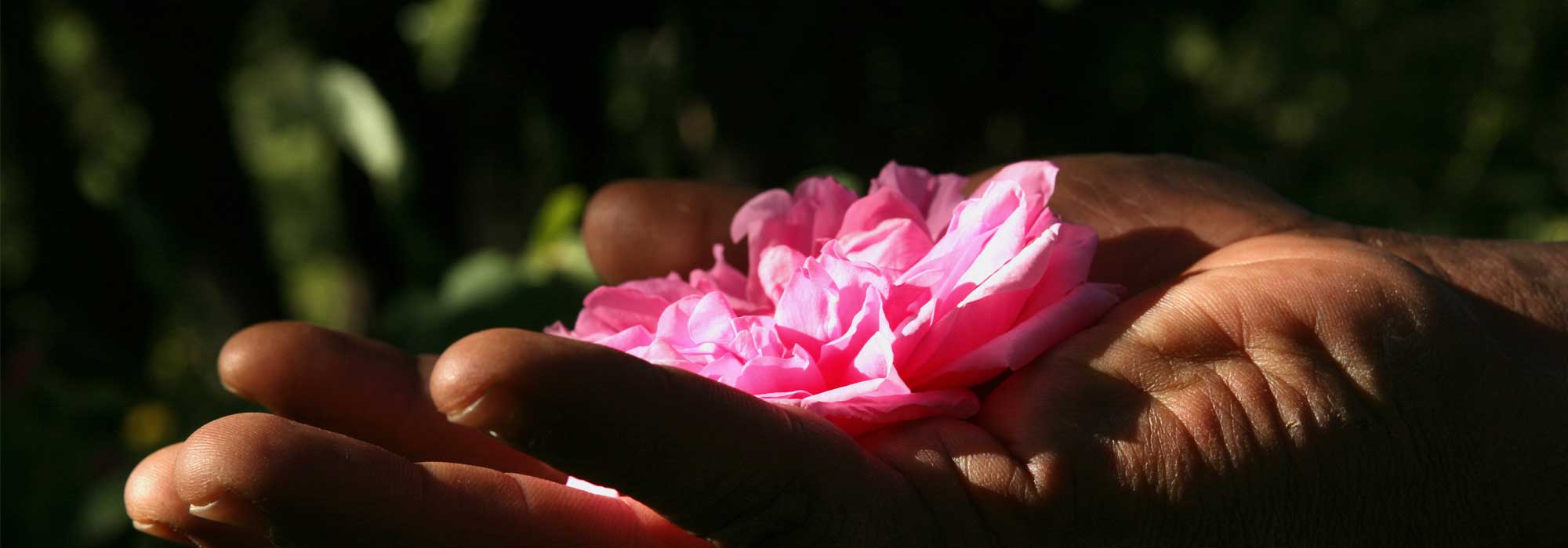 Cosmétique naturelle