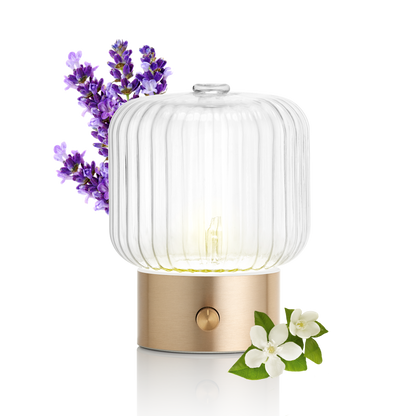 Vernebler Diffusor VERA