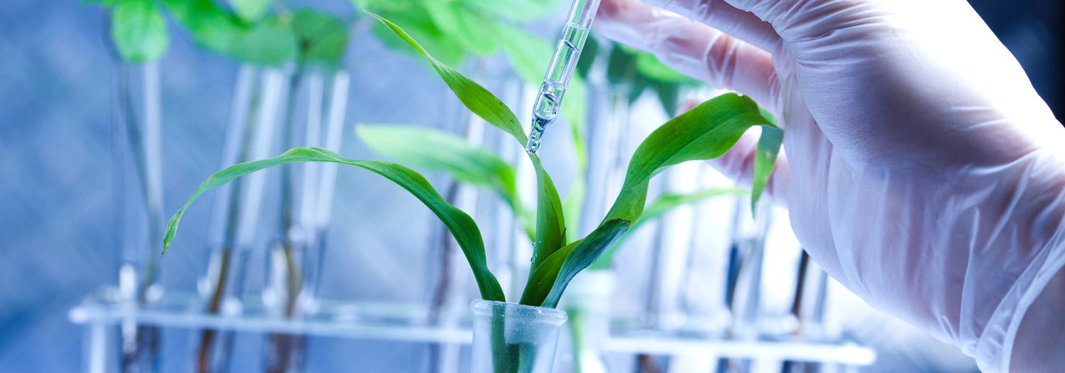 performance puressentiel