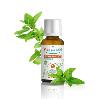 Pfefferminze Bio Ätherisches Öl
