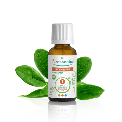 Huile Essentielle Ravintsara BIO