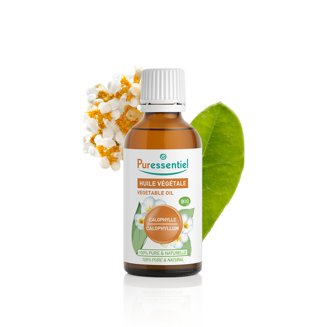 Pflanzliches Öl Bio Calophyllum