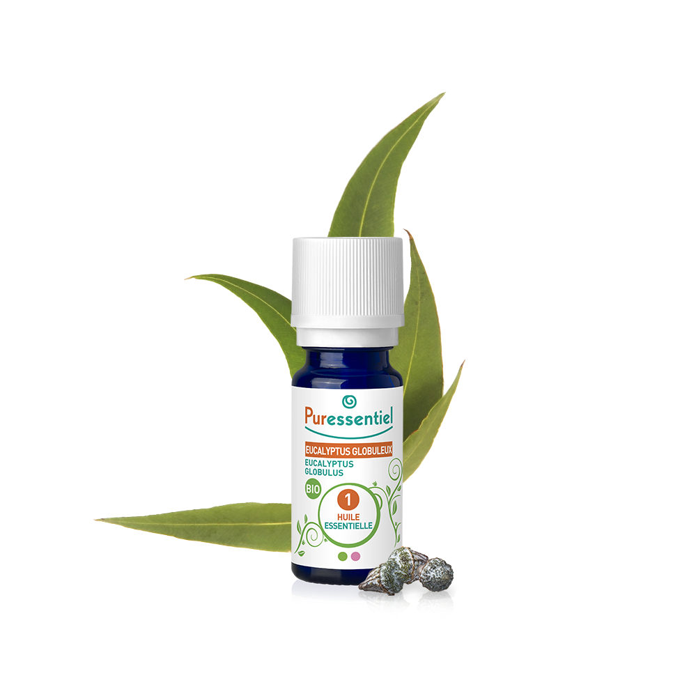 eucalyptus globuleux bio huile essentielle