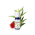 Huile Essentielle eucalyptus radié
