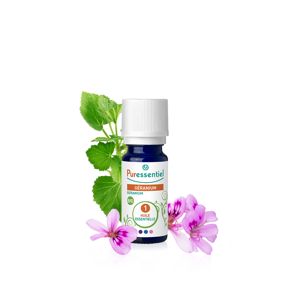 geranium huile essentielle bio puressentiel
