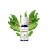 laurier noble bio huile essentielle puressentiel