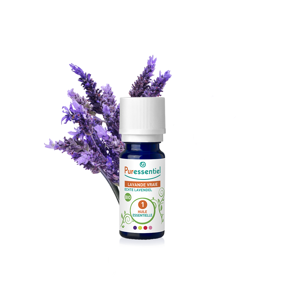 lavande vraie bio huile essentielle