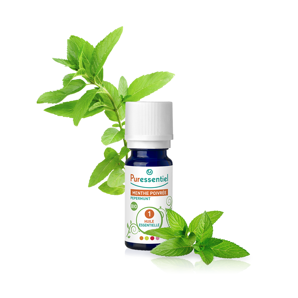 huile essentielle menthe poivree bio puressentiel