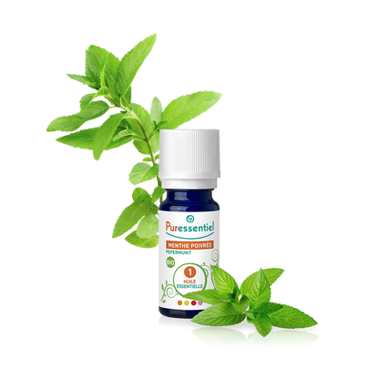 huile essentielle menthe poivree bio puressentiel