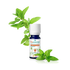 huile essentielle menthe poivree bio puressentiel