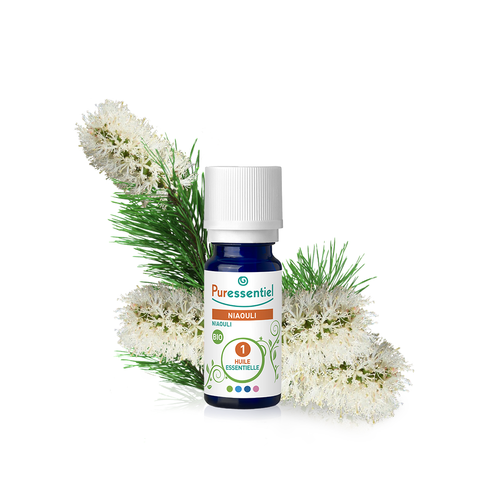 huile essentielle niaouli bio