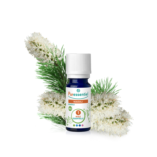 Niaouli bio, huile essentielle 100% pure et naturelle, flacon de 10 ml