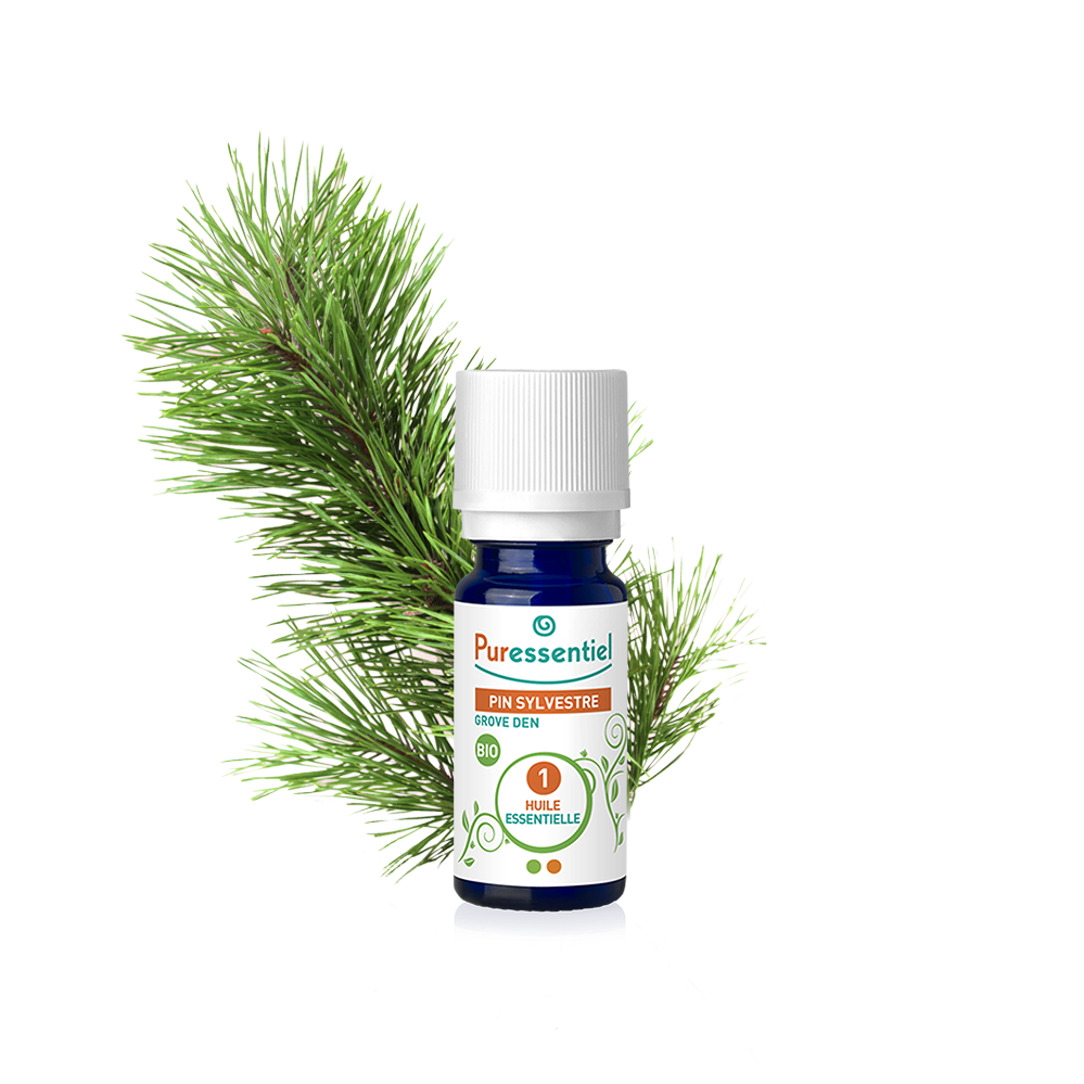 huile essentielle pin bio