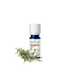 romarin à camphre bio puressentiel