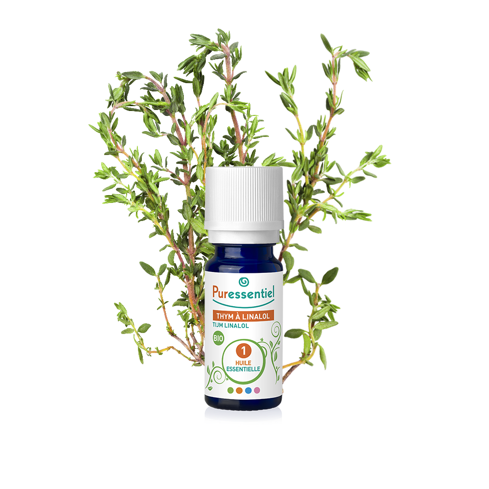 huile essentielle thym à linalol bio